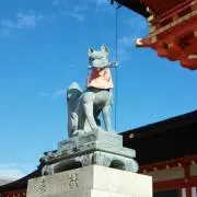 TOMの画像