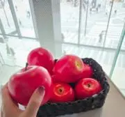 Image of 一葉@おまとめ依頼もお待ちしてます