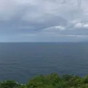 えくれあの画像