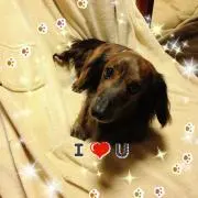 mizu❁即決優先です。