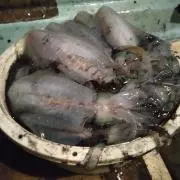 どどーん