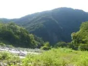 マハロの画像