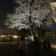 みかんの画像