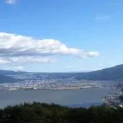 たたにゃむの画像