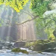 ynの画像