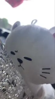 腰痛ライダーの画像