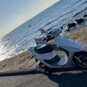 アキの画像