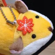 狐の尻尾の画像
