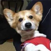 Na