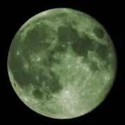Hasedonの画像