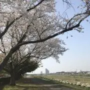satokoshiの画像