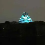 マルセロの画像