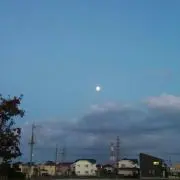 ゆきの画像