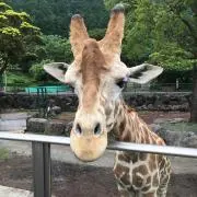 にし♡♡