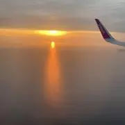 ほーりー