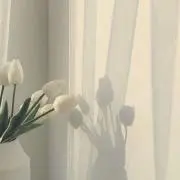 a.の画像