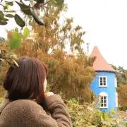 ひよこの画像
