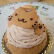 しまぐり