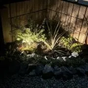 ANH20の画像