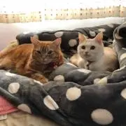 mieeeの画像