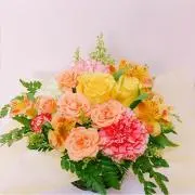 にーちぇ☆*。