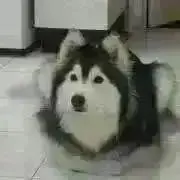 コメントお気軽にどうぞ♬の画像