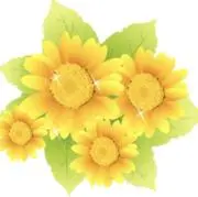 K 【即購入OK】の画像