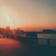 omochiの画像