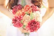bloomの画像