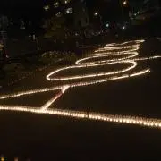 ひかるん