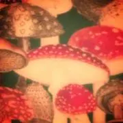Keyの画像