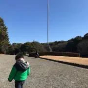 YYGの画像