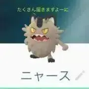 ぽよんどすんの画像