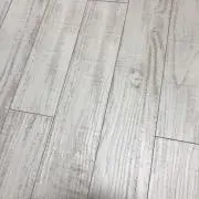 ゆゆゆ