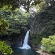 たよりじの画像