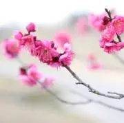ガビ(26)の画像