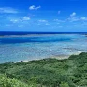 Ma Ohonoの画像