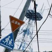 羽