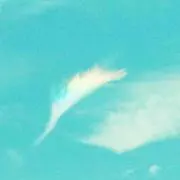 ワワワ