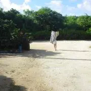 ブルボンの画像