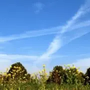 あやの画像