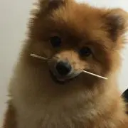 hanahana
