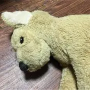 gkm