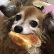 ティアラ