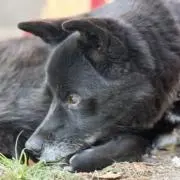 yasuの画像