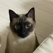 mmの画像