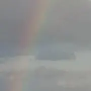 NATUの画像