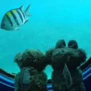 りゅうきちくんの画像