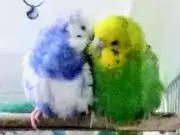 mu-chanの画像
