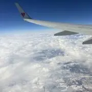 なめこ
